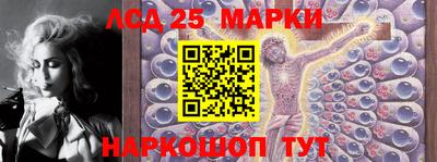 индика Кандалакша
