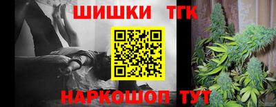 индика Кандалакша