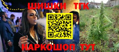 индика Кандалакша