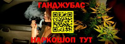 прущие крисы Камышлов