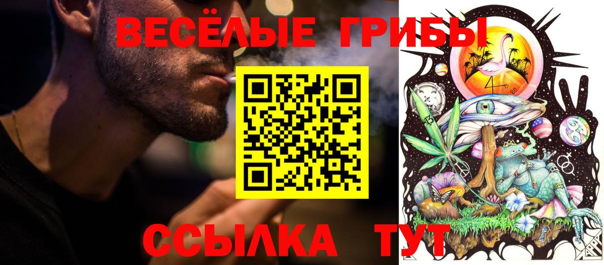 Галлюциногенные грибы MAGIC MUSHROOMS Заводоуковск